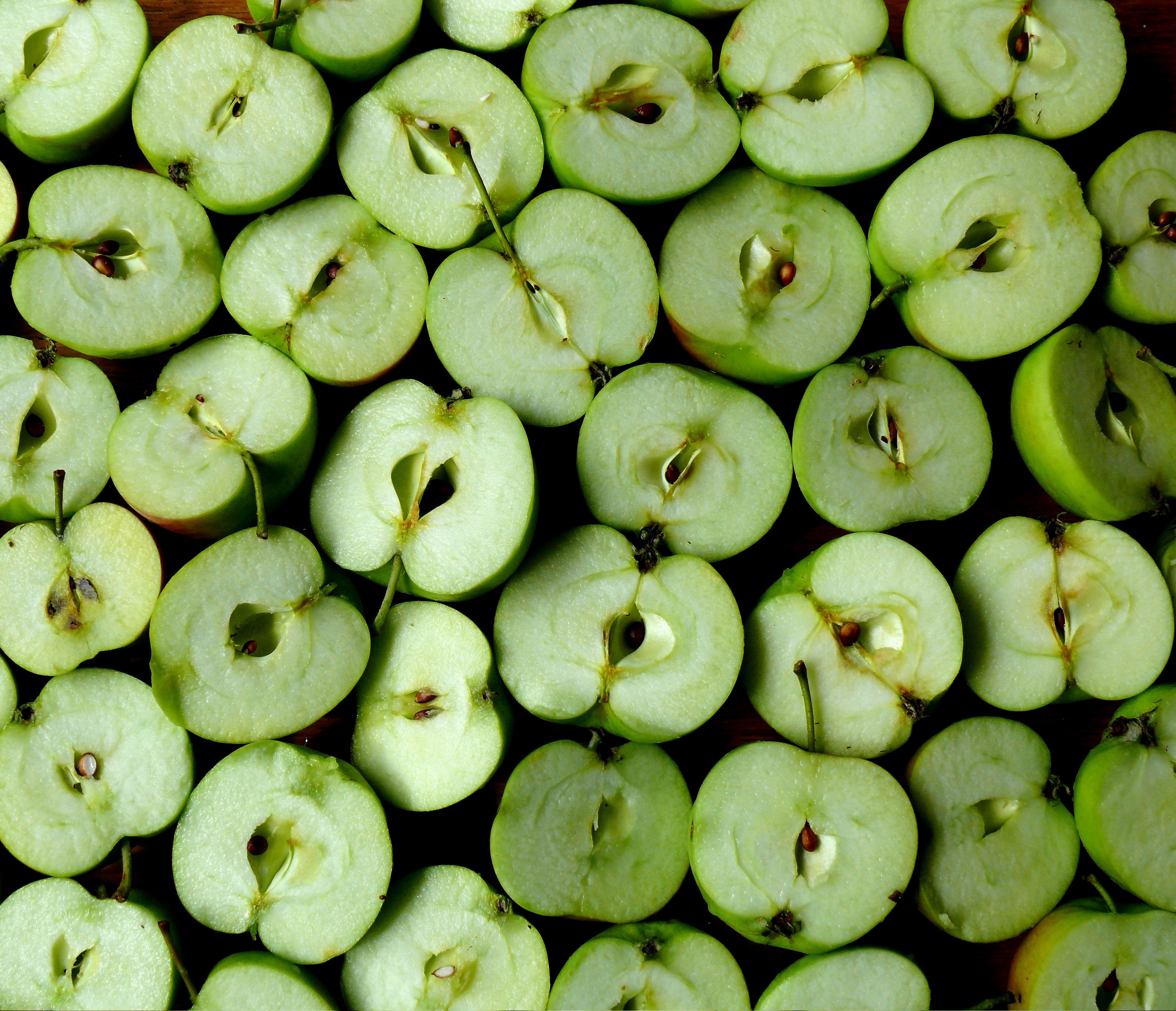 apple-498123